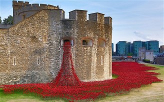 Tower of London Poppies6